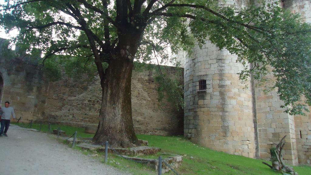 Casas Rurales El Caminante Альдеануэва-дель-Камино Экстерьер фото